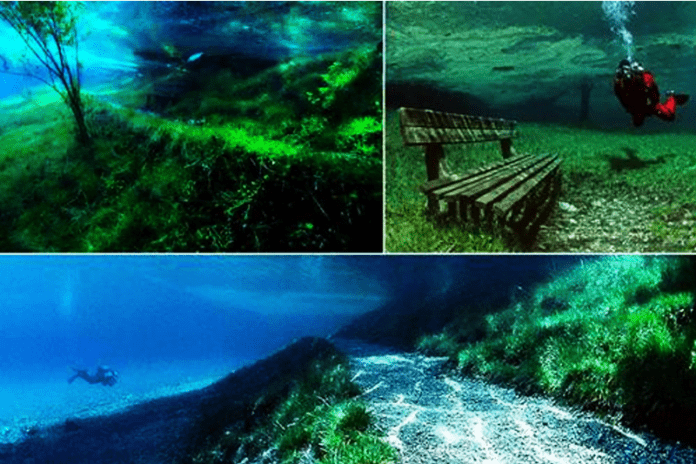 Winter wonderland park scene in Austria's versatile park