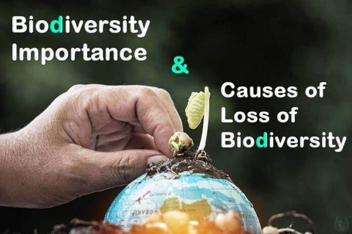 Preserving genetic resources for the stability of ecosystem and biodiversity. Preserving genetic resources for the stability of ecosystems and biodiversity