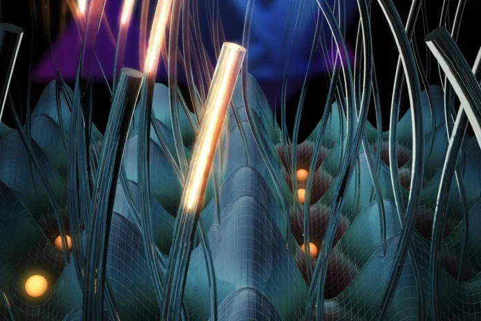 4D Meta-material 4D Meta-material