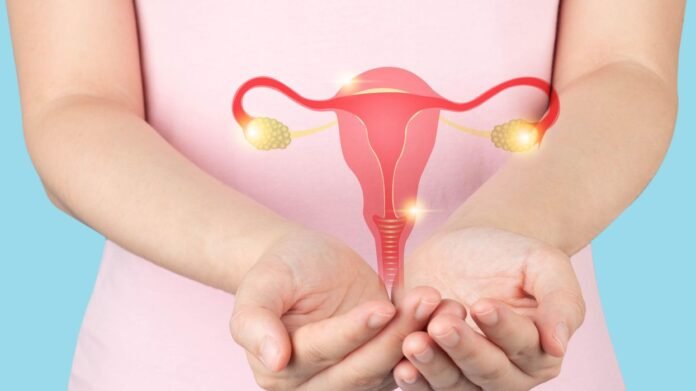 AI-powered PCOS diagnosis in action