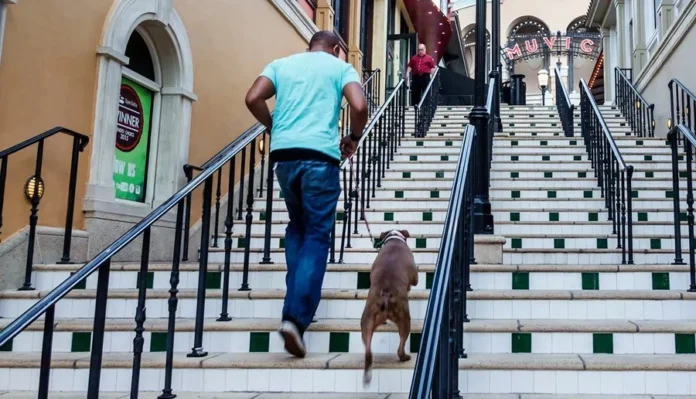 Climbing stairs Climbing stairs