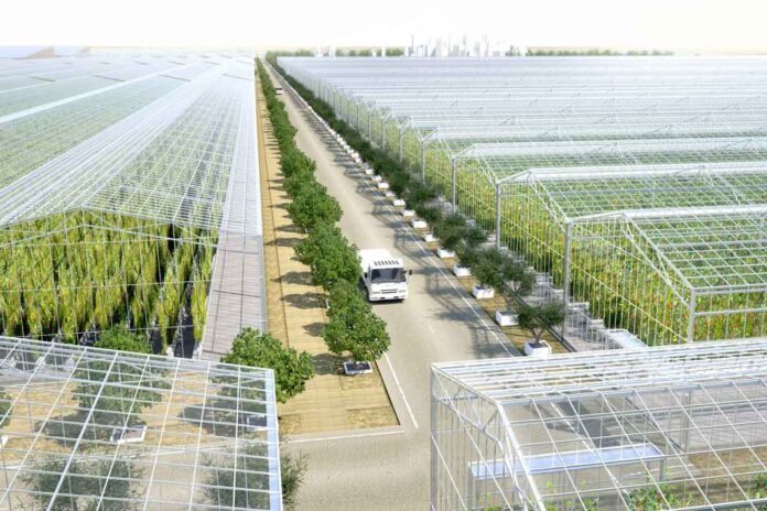 Saudi Arabia breaks the record for the largest farm in the world